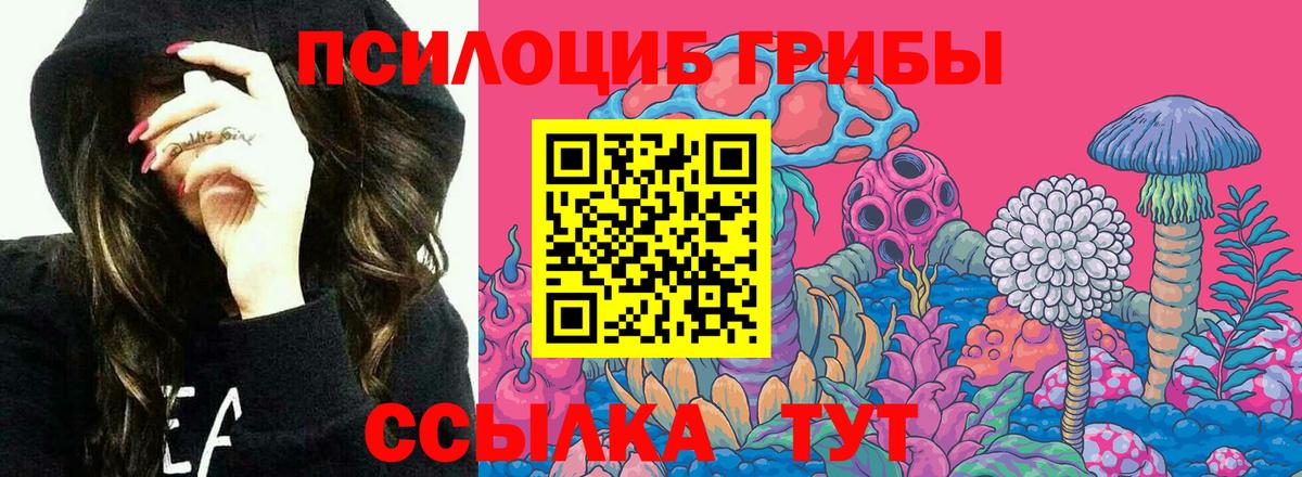 Галлюциногенные грибы Cubensis  Вход с VPN  Ковров 